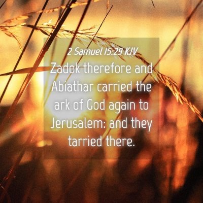 Picture 04 - 2 Samuel 15:29 KJV - Zadok therefore and Abiathar carried the ark of - Bible Verse Picture