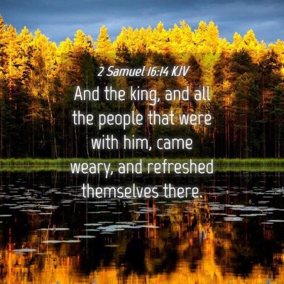 Picture 04 - 2 Samuel 16:14 KJV - And the king, and all the people that were with - Bible Verse Picture
