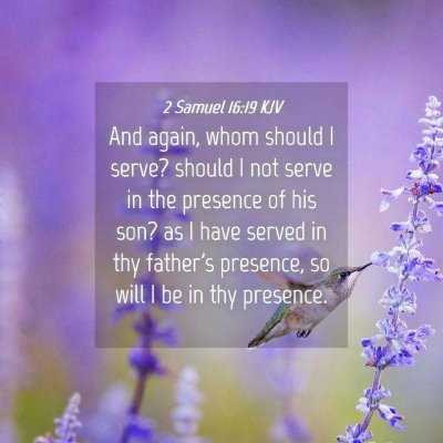 Picture 04 - 2 Samuel 16:19 KJV - And again, whom should I serve? should I not - Bible Verse Picture