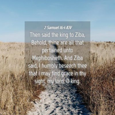 Picture 04 - 2 Samuel 16:4 KJV - Then said the king to Ziba, Behold, thine are all - Bible Verse Picture