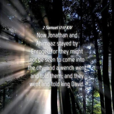 Picture 04 - 2 Samuel 17:17 KJV - Now Jonathan and Ahimaaz stayed by Enrogel; for - Bible Verse Picture