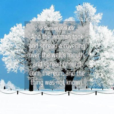 Picture 04 - 2 Samuel 17:19 KJV - And the woman took and spread a covering over the - Bible Verse Picture