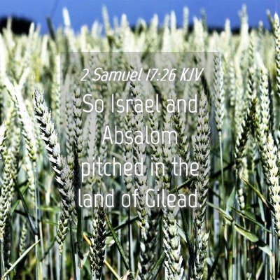 Picture 04 - 2 Samuel 17:26 KJV - So Israel and Absalom pitched in the land of - Bible Verse Picture