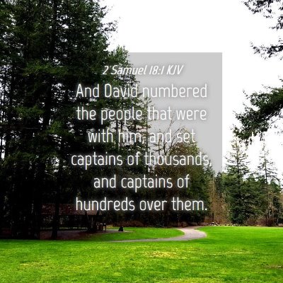 Picture 04 - 2 Samuel 18:1 KJV - And David numbered the people that were with him, - Bible Verse Picture