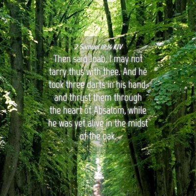 Picture 04 - 2 Samuel 18:14 KJV - Then said Joab, I may not tarry thus with thee. - Bible Verse Picture