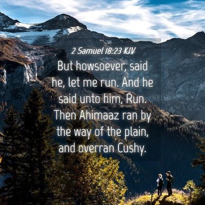 Picture 04 - 2 Samuel 18:23 KJV - But howsoever, said he, let me run. And he said - Bible Verse Picture