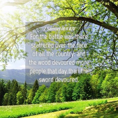 Picture 04 - 2 Samuel 18:8 KJV - For the battle was there scattered over the face - Bible Verse Picture