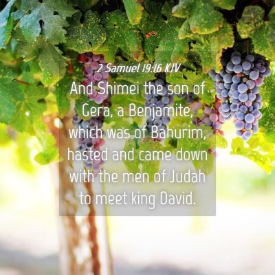 Picture 04 - 2 Samuel 19:16 KJV - And Shimei the son of Gera, a Benjamite, which - Bible Verse Picture