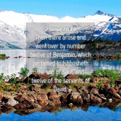 Picture 04 - 2 Samuel 2:15 KJV - Then there arose and went over by number twelve - Bible Verse Picture