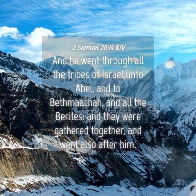 Picture 04 - 2 Samuel 20:14 KJV - And he went through all the tribes of Israel unto - Bible Verse Picture