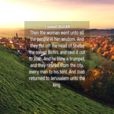 Picture 04 - 2 Samuel 20:22 KJV - Then the woman went unto all the people in her - Bible Verse Picture