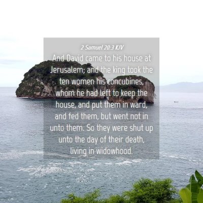 Picture 04 - 2 Samuel 20:3 KJV - And David came to his house at Jerusalem; and the - Bible Verse Picture