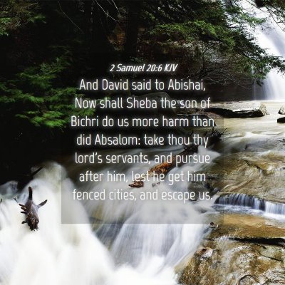 Picture 04 - 2 Samuel 20:6 KJV - And David said to Abishai, Now shall Sheba the - Bible Verse Picture