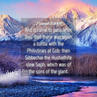Picture 04 - 2 Samuel 21:18 KJV - And it came to pass after this, that there was - Bible Verse Picture