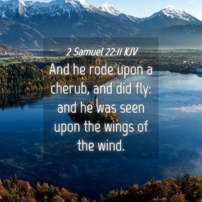 Picture 04 - 2 Samuel 22:11 KJV - And he rode upon a cherub, and did fly: and he - Bible Verse Picture