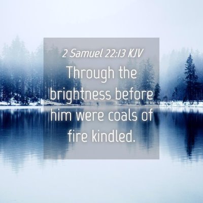 Picture 04 - 2 Samuel 22:13 KJV - Through the brightness before him were coals of - Bible Verse Picture