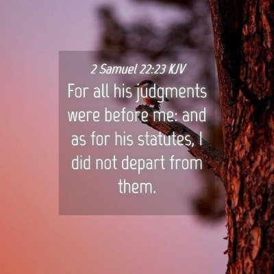 Picture 04 - 2 Samuel 22:23 KJV - For all his judgments were before me: and as for - Bible Verse Picture