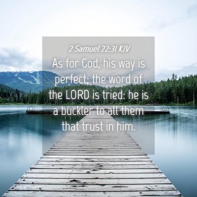 Picture 04 - 2 Samuel 22:31 KJV - As for God, his way is perfect; the word of the - Bible Verse Picture