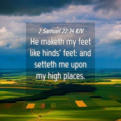 Picture 04 - 2 Samuel 22:34 KJV - He maketh my feet like hinds' feet: and setteth - Bible Verse Picture