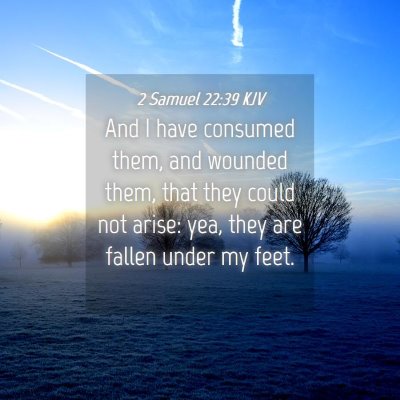 Picture 04 - 2 Samuel 22:39 KJV - And I have consumed them, and wounded them, that - Bible Verse Picture