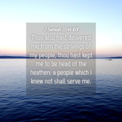 Picture 04 - 2 Samuel 22:44 KJV - Thou also hast delivered me from the strivings of - Bible Verse Picture