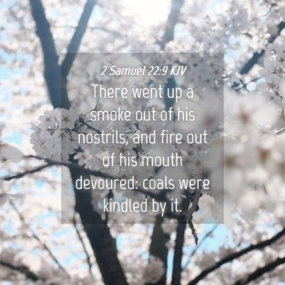 Picture 04 - 2 Samuel 22:9 KJV - There went up a smoke out of his nostrils, and - Bible Verse Picture