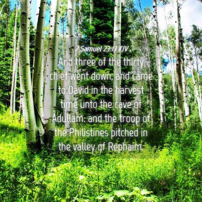 Picture 04 - 2 Samuel 23:13 KJV - And three of the thirty chief went down, and came - Bible Verse Picture