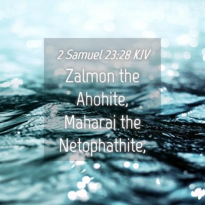 Picture 04 - 2 Samuel 23:28 KJV - Zalmon the Ahohite, Maharai the - Bible Verse Picture