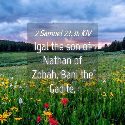 Picture 04 - 2 Samuel 23:36 KJV - Igal the son of Nathan of Zobah, Bani the - Bible Verse Picture