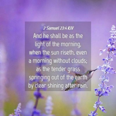 Picture 04 - 2 Samuel 23:4 KJV - And he shall be as the light of the morning, when - Bible Verse Picture