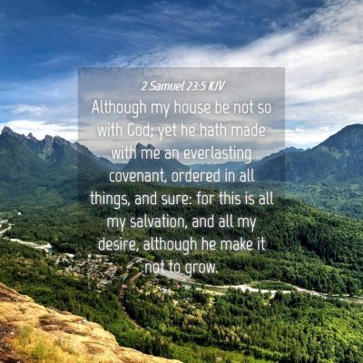 Picture 04 - 2 Samuel 23:5 KJV - Although my house be not so with God; yet he hath - Bible Verse Picture
