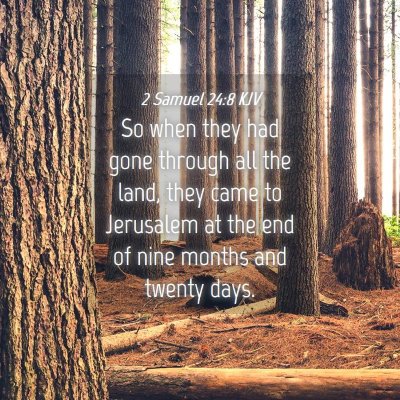 Picture 04 - 2 Samuel 24:8 KJV - So when they had gone through all the land, they - Bible Verse Picture