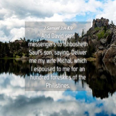 Picture 04 - 2 Samuel 3:14 KJV - And David sent messengers to Ishbosheth Saul's - Bible Verse Picture