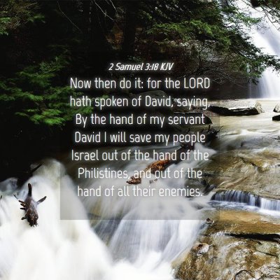 Picture 04 - 2 Samuel 3:18 KJV - Now then do it: for the LORD hath spoken of - Bible Verse Picture