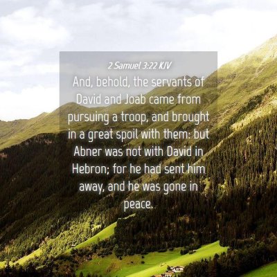 Picture 04 - 2 Samuel 3:22 KJV - And, behold, the servants of David and Joab came - Bible Verse Picture