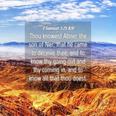 Picture 04 - 2 Samuel 3:25 KJV - Thou knowest Abner the son of Ner, that he came - Bible Verse Picture