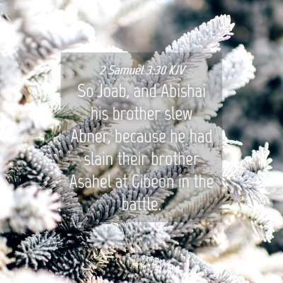 Picture 04 - 2 Samuel 3:30 KJV - So Joab, and Abishai his brother slew Abner, - Bible Verse Picture