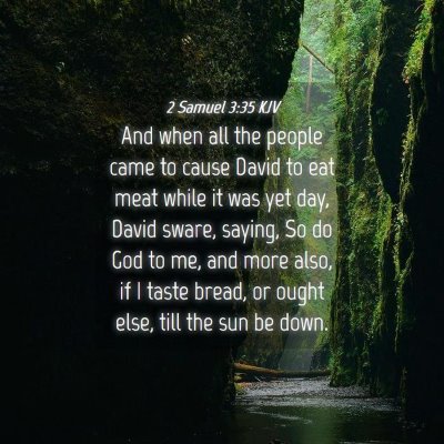 Picture 04 - 2 Samuel 3:35 KJV - And when all the people came to cause David to - Bible Verse Picture