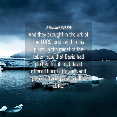 Picture 04 - 2 Samuel 6:17 KJV - And they brought in the ark of the LORD, and set - Bible Verse Picture