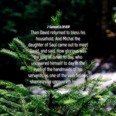 Picture 04 - 2 Samuel 6:20 KJV - Then David returned to bless his household. And - Bible Verse Picture