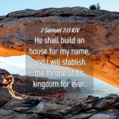 Picture 04 - 2 Samuel 7:13 KJV - He shall build an house for my name, and I will - Bible Verse Picture