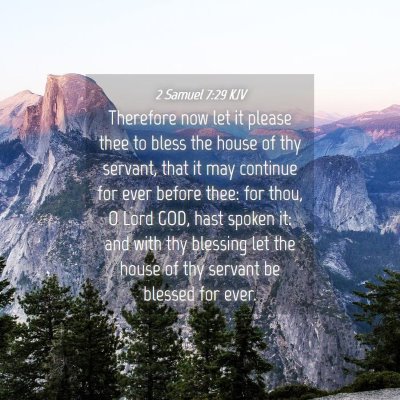 Picture 04 - 2 Samuel 7:29 KJV - Therefore now let it please thee to bless the - Bible Verse Picture