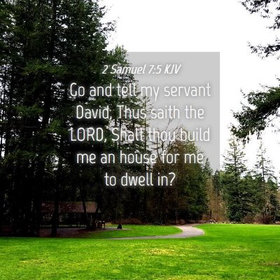 Picture 04 - 2 Samuel 7:5 KJV - Go and tell my servant David, Thus saith the - Bible Verse Picture