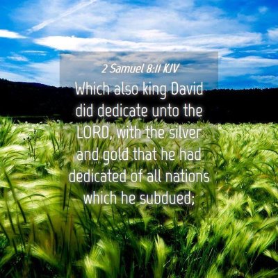 Picture 04 - 2 Samuel 8:11 KJV - Which also king David did dedicate unto the LORD, - Bible Verse Picture
