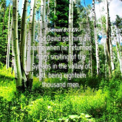 Picture 04 - 2 Samuel 8:13 KJV - And David gat him a name when he returned from - Bible Verse Picture