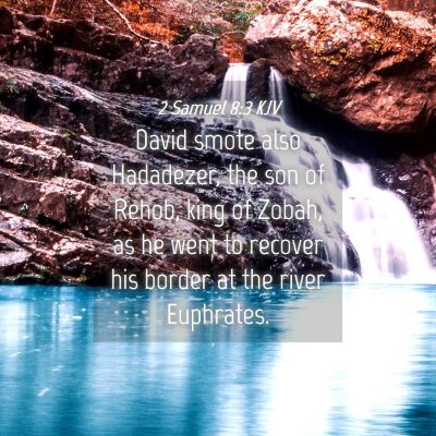 Picture 04 - 2 Samuel 8:3 KJV - David smote also Hadadezer, the son of Rehob, - Bible Verse Picture