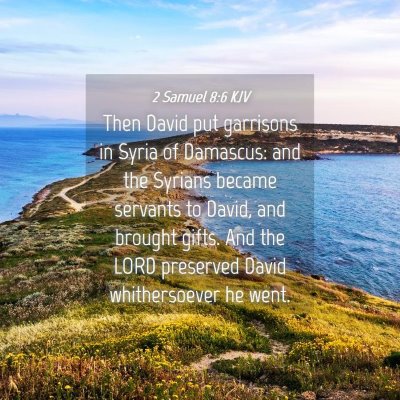 Picture 04 - 2 Samuel 8:6 KJV - Then David put garrisons in Syria of Damascus: - Bible Verse Picture