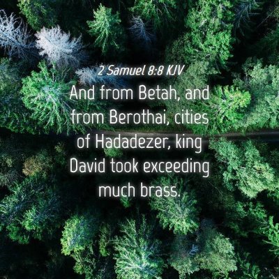 Picture 04 - 2 Samuel 8:8 KJV - And from Betah, and from Berothai, cities of - Bible Verse Picture