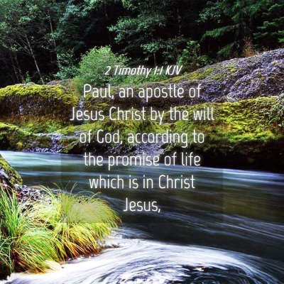 Picture 04 - 2 Timothy 1:1 KJV - Paul, an apostle of Jesus Christ by the will of - Bible Verse Picture