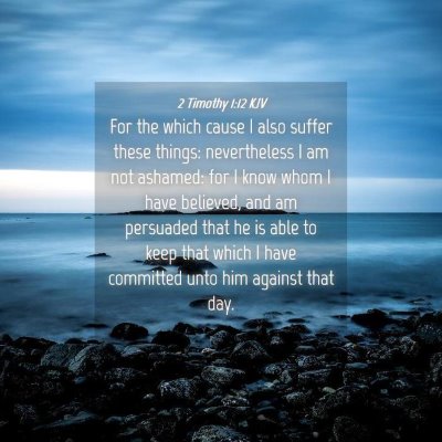 Picture 04 - 2 Timothy 1:12 KJV - For the which cause I also suffer these things: - Bible Verse Picture